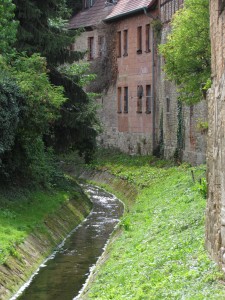 IMG_1543