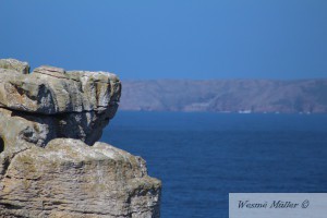 IMG_1565