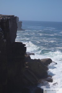 IMG_1591
