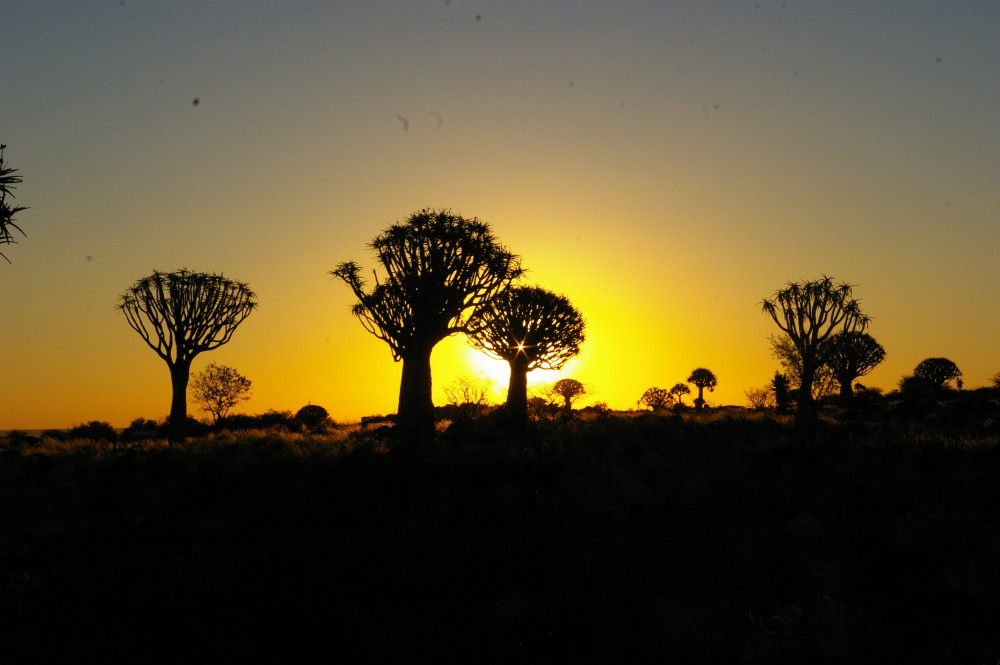 The sunset in its golden splendor