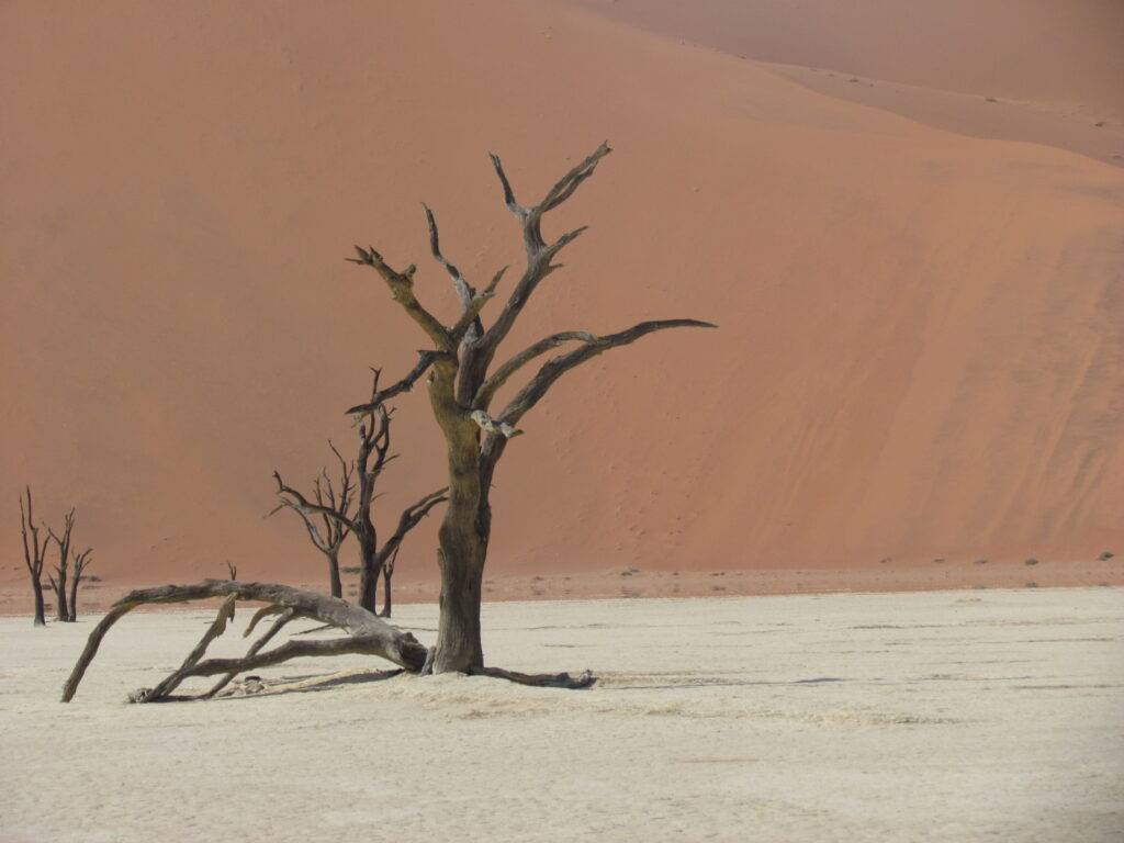 I’ve still got sand in my shoes…