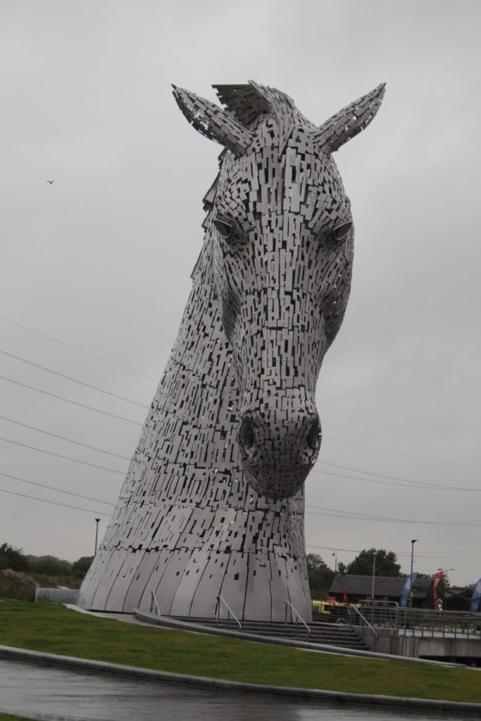 Up, ride with the kelpie