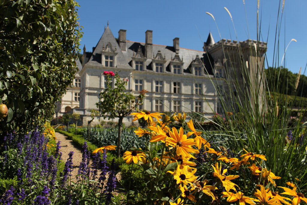 Dans mon château-fort