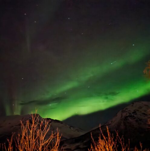 Et nordlys på min vej